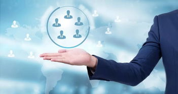 35年职业经理人的智慧 惠普中国总裁谈管理与领导的艺术平衡